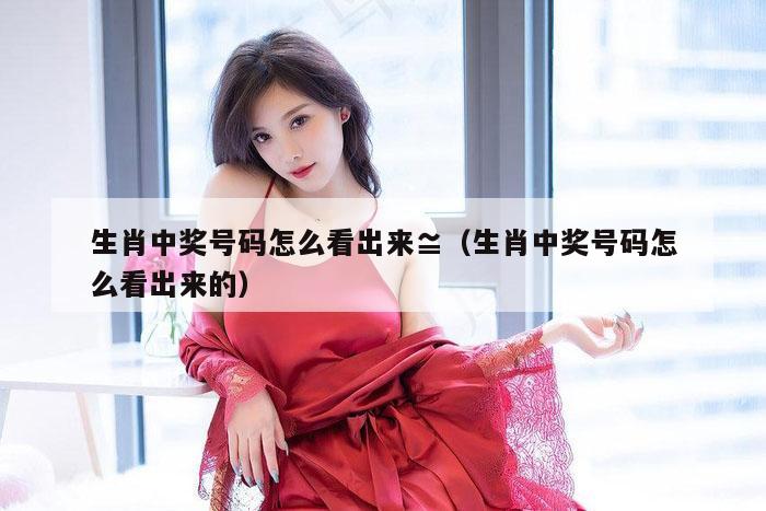 生肖中奖号码怎么看出来≌（生肖中奖号码怎么看出来的）